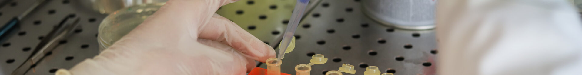 Test in laboratorio