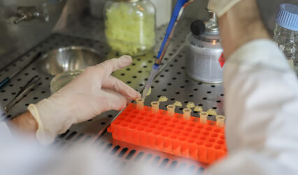 Test in laboratorio