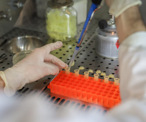 Test in laboratorio