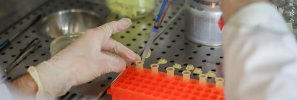 Test in laboratorio